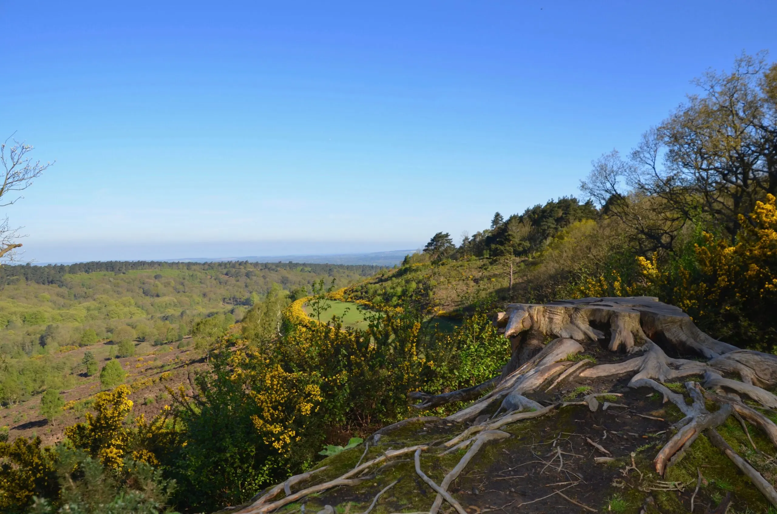 Picture of the view on top of a hill in Surrey where we provide Pat Testing