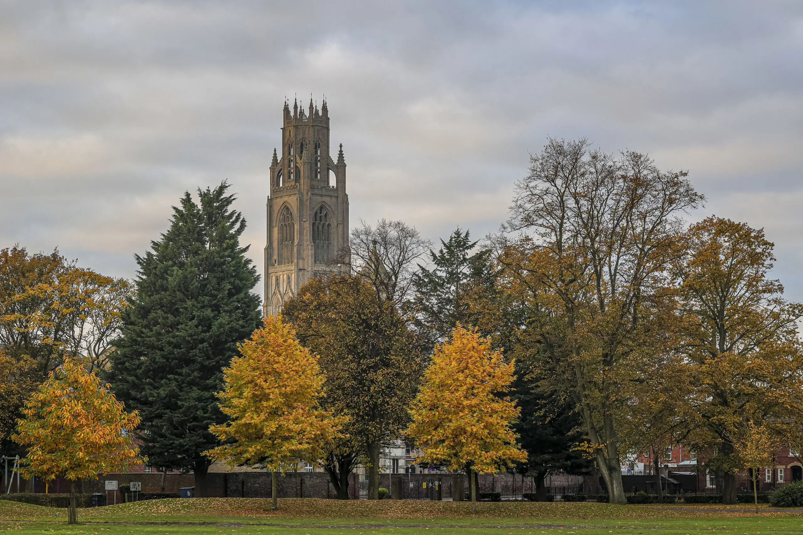 Image of a church coming up through trees in Boston where we do Pat Testing