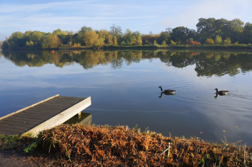 the lake at the arrow valley country park redditch worcestershire england uk