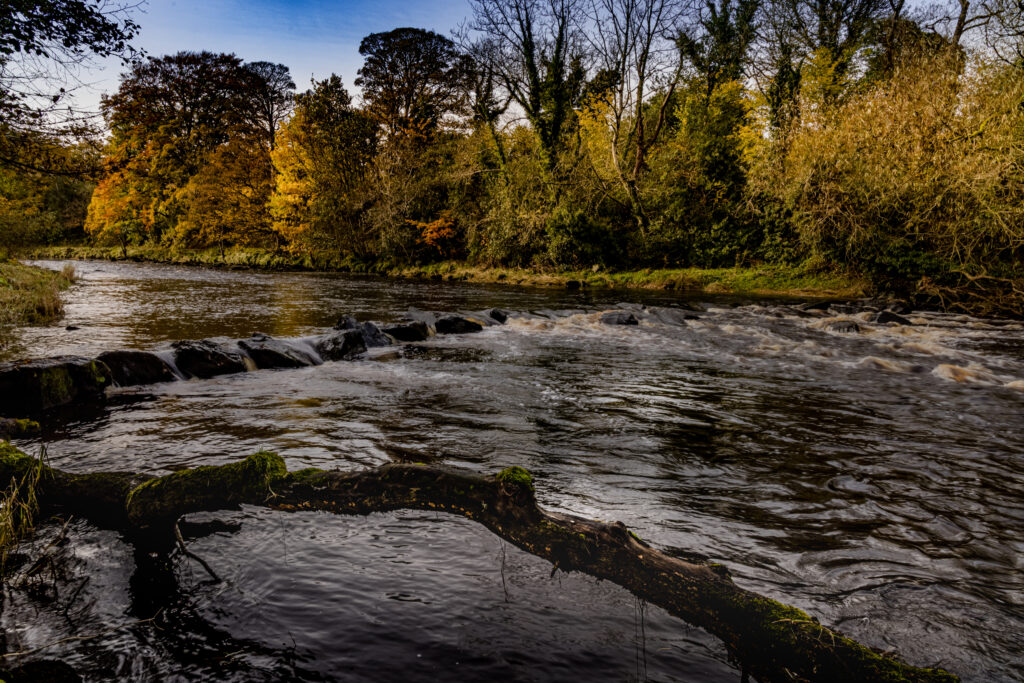 Autumn colours in Roe Valley country Park, Limavady, County Londonderry, Northern Ireland