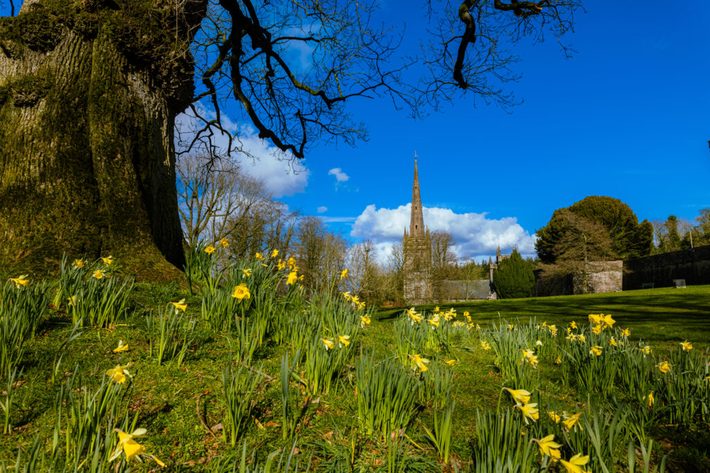 Hillsborough Forest Park, Royal Hillsborough, County Down, Northern Ireland